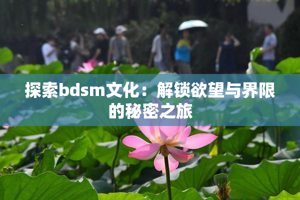 探索bdsm文化：解锁欲望与界限的秘密之旅