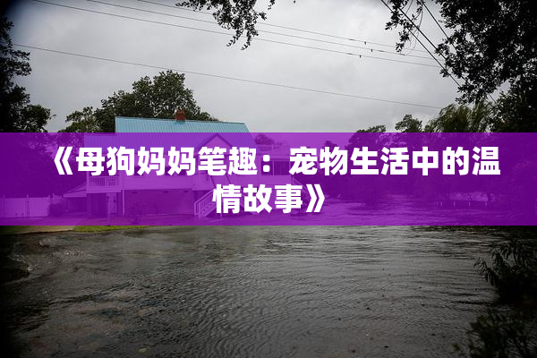 《母狗妈妈笔趣：宠物生活中的温情故事》