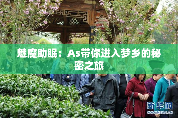 魅魔助眠：As带你进入梦乡的秘密之旅