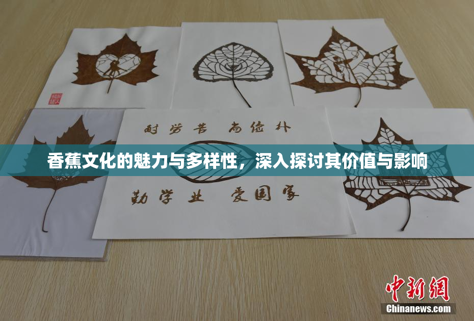 香蕉文化的魅力与多样性，深入探讨其价值与影响
