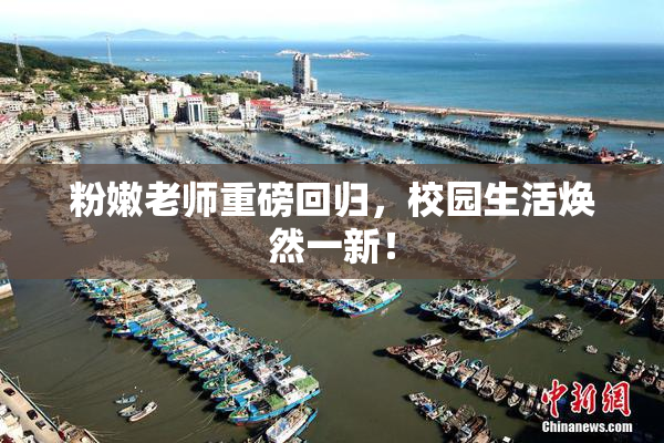 粉嫩老师重磅回归，校园生活焕然一新！