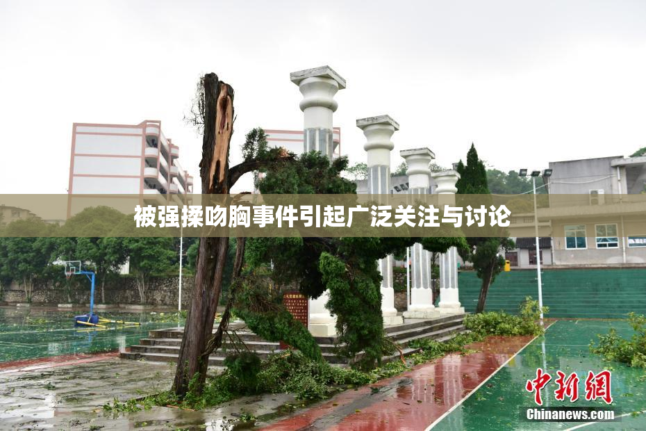 被强揉吻胸事件引起广泛关注与讨论