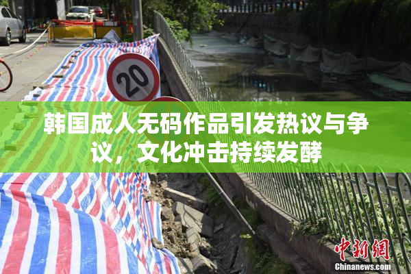 韩国成人无码作品引发热议与争议，文化冲击持续发酵