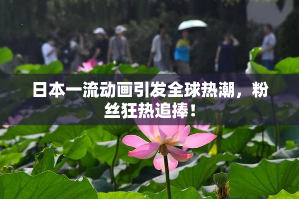 日本一流动画引发全球热潮，粉丝狂热追捧！