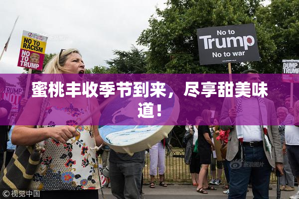 蜜桃丰收季节到来，尽享甜美味道！