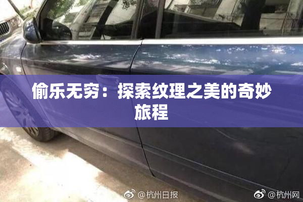 偷乐无穷：探索纹理之美的奇妙旅程
