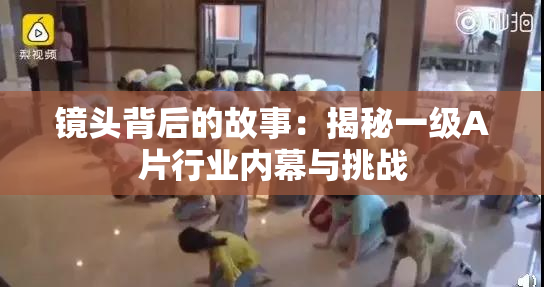镜头背后的故事：揭秘一级A片行业内幕与挑战