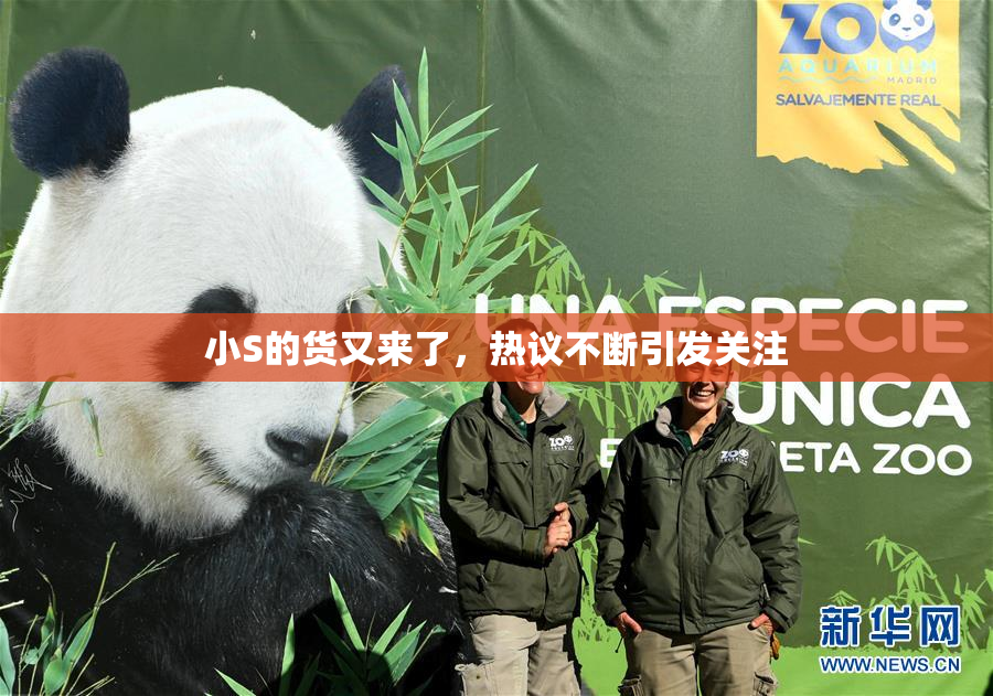 小S的货又来了，热议不断引发关注