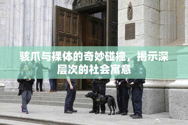 骇爪与裸体的奇妙碰撞，揭示深层次的社会寓意