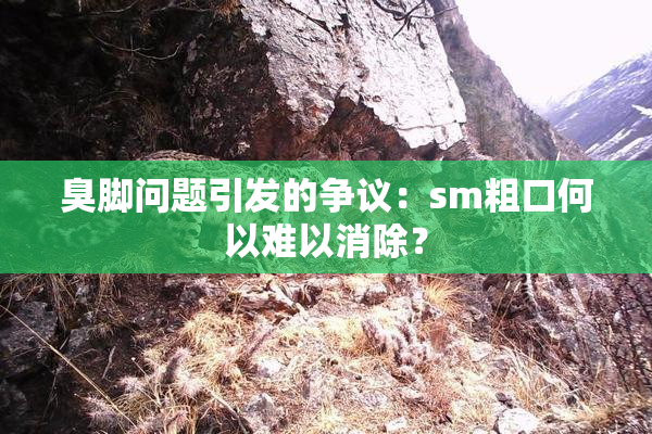 臭脚问题引发的争议：sm粗口何以难以消除？