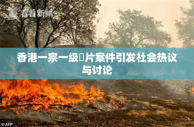 香港一宗一级婬片案件引发社会热议与讨论