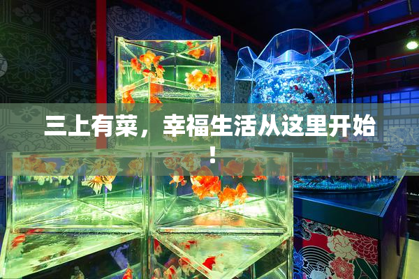 三上有菜，幸福生活从这里开始！