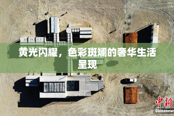 黄光闪耀，色彩斑斓的奢华生活呈现