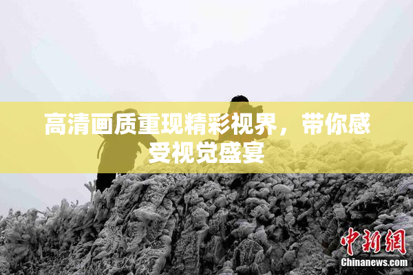 高清画质重现精彩视界，带你感受视觉盛宴