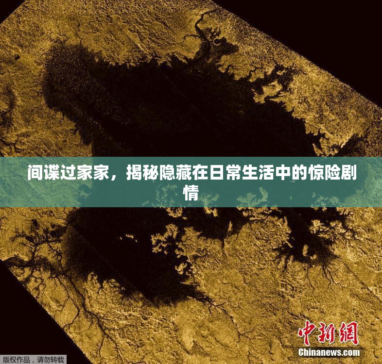 间谍过家家，揭秘隐藏在日常生活中的惊险剧情