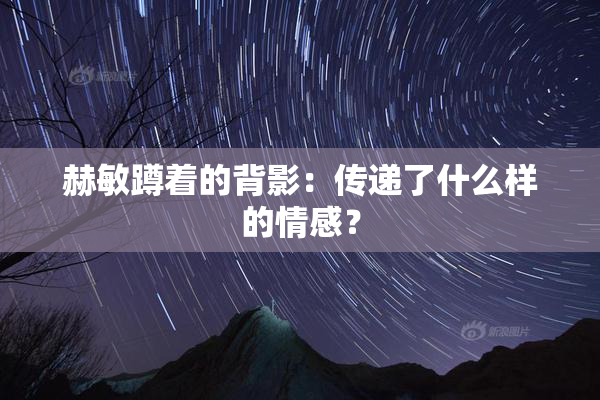 赫敏蹲着的背影：传递了什么样的情感？