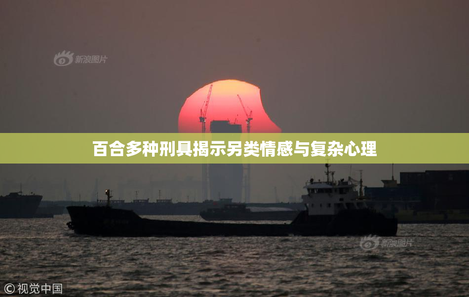 百合多种刑具揭示另类情感与复杂心理