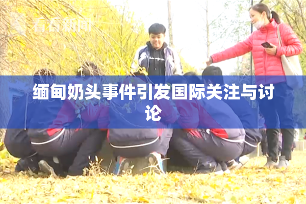 缅甸奶头事件引发国际关注与讨论