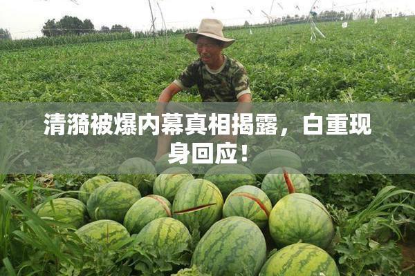 清漪被爆内幕真相揭露，白重现身回应！