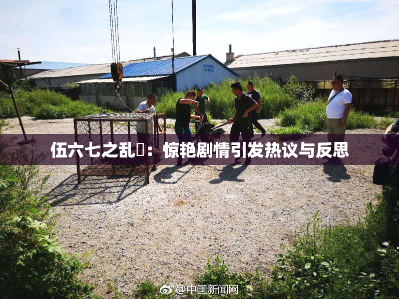伍六七之乱婬：惊艳剧情引发热议与反思