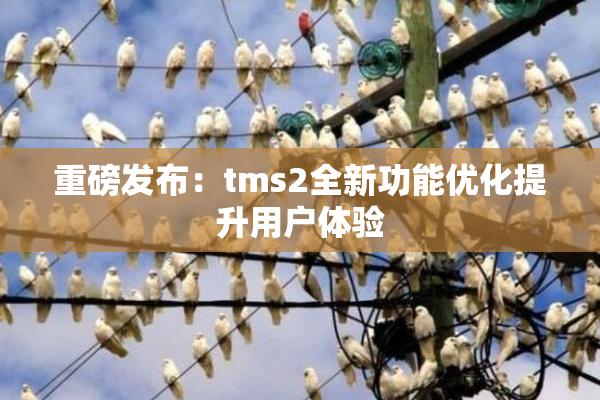 重磅发布：tms2全新功能优化提升用户体验