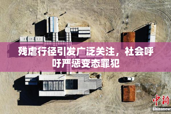 残虐行径引发广泛关注，社会呼吁严惩变态罪犯