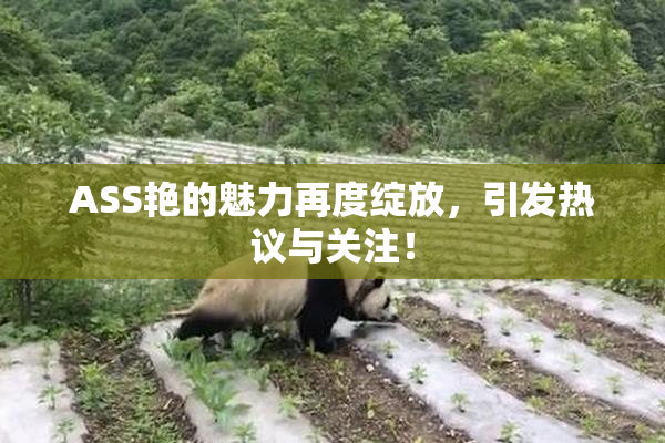 ASS艳的魅力再度绽放，引发热议与关注！