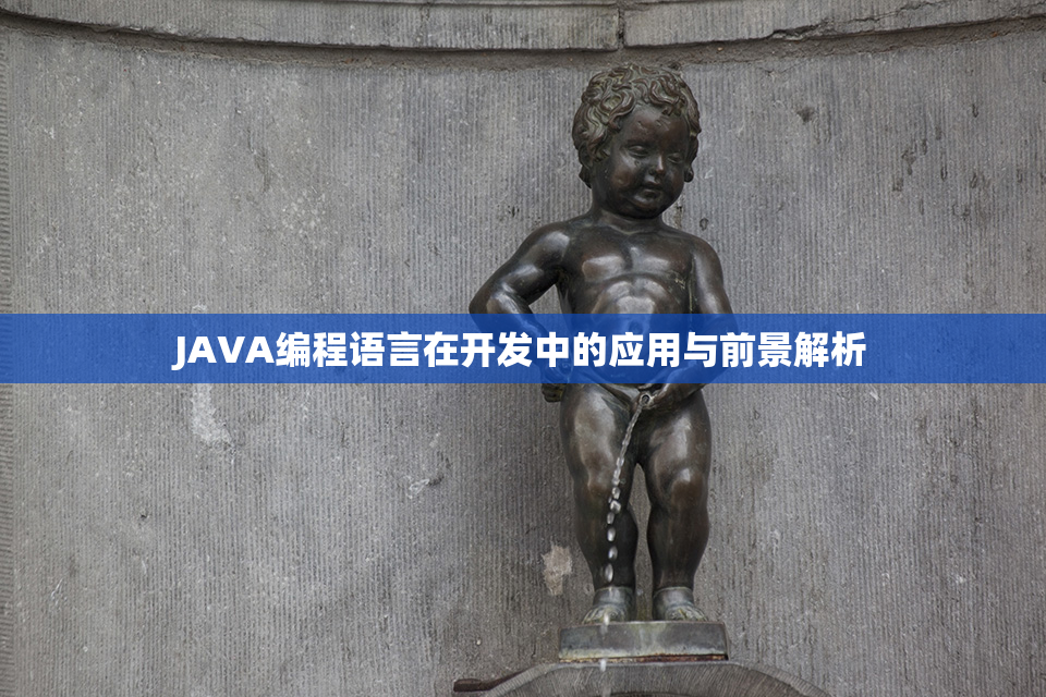 JAVA编程语言在开发中的应用与前景解析