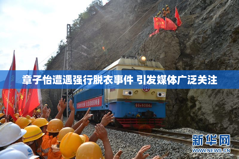 章子怡遭遇强行脱衣事件 引发媒体广泛关注