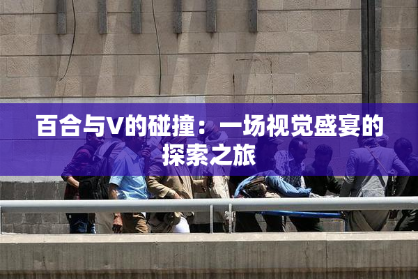 百合与V的碰撞：一场视觉盛宴的探索之旅