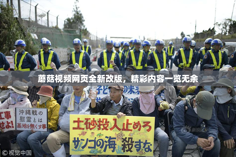 蘑菇视频网页全新改版，精彩内容一览无余