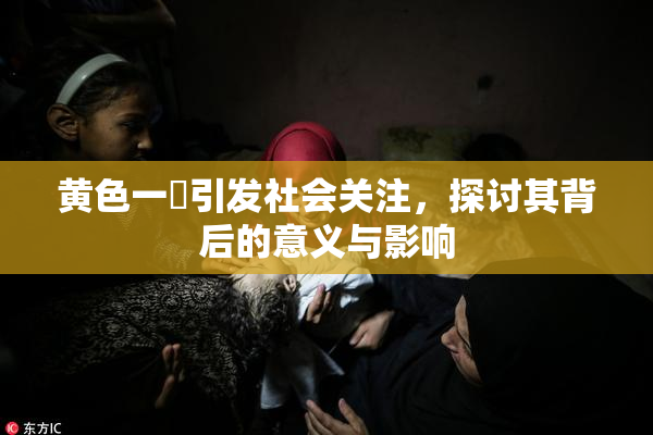 黄色一級引发社会关注，探讨其背后的意义与影响