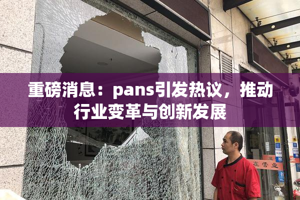 重磅消息：pans引发热议，推动行业变革与创新发展