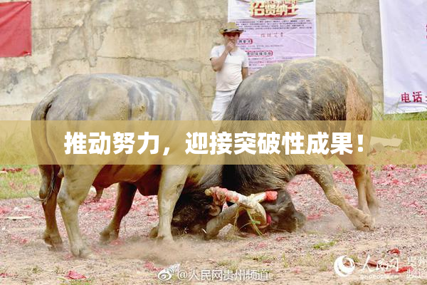 推动努力，迎接突破性成果！