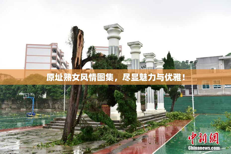 原址熟女风情图集，尽显魅力与优雅！
