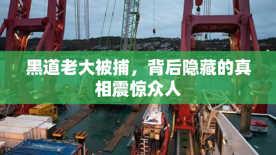 黑道老大被捕，背后隐藏的真相震惊众人