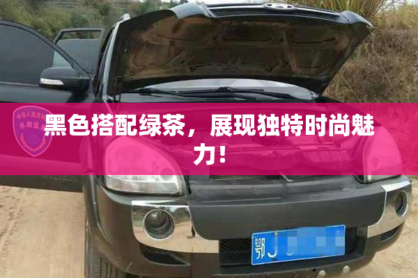 黑色搭配绿茶，展现独特时尚魅力！