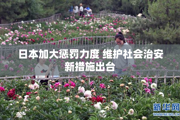 日本加大惩罚力度 维护社会治安新措施出台