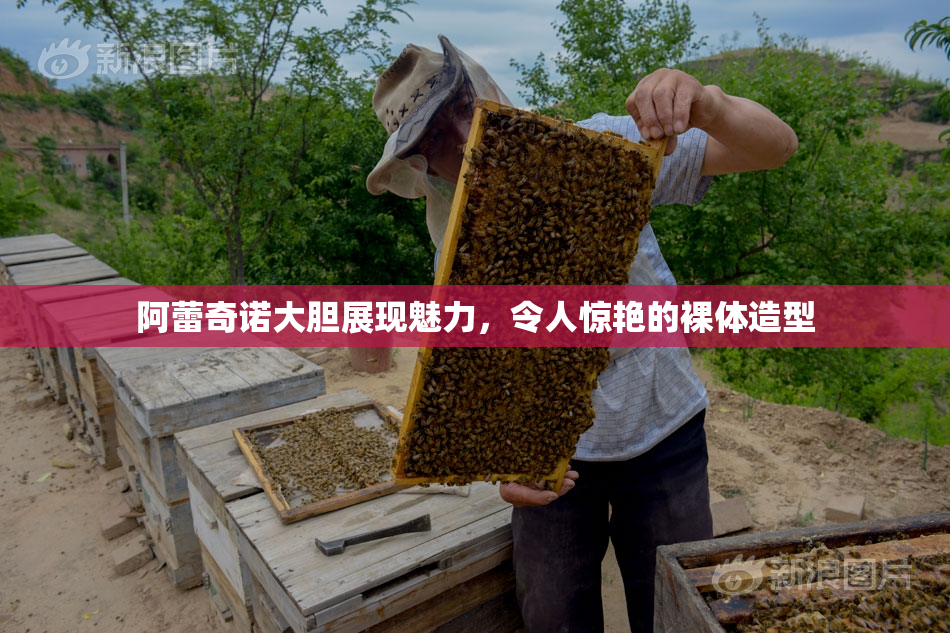 阿蕾奇诺大胆展现魅力，令人惊艳的裸体造型