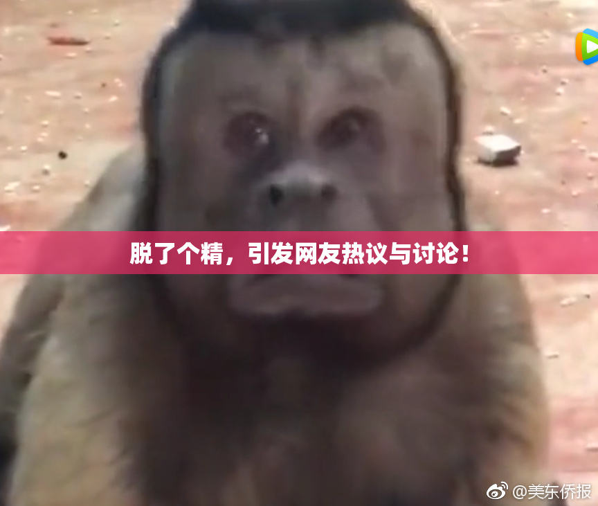 脱了个精，引发网友热议与讨论！