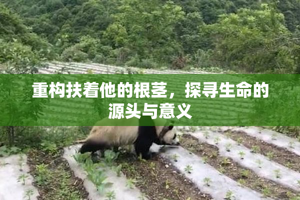 重构扶着他的根茎，探寻生命的源头与意义