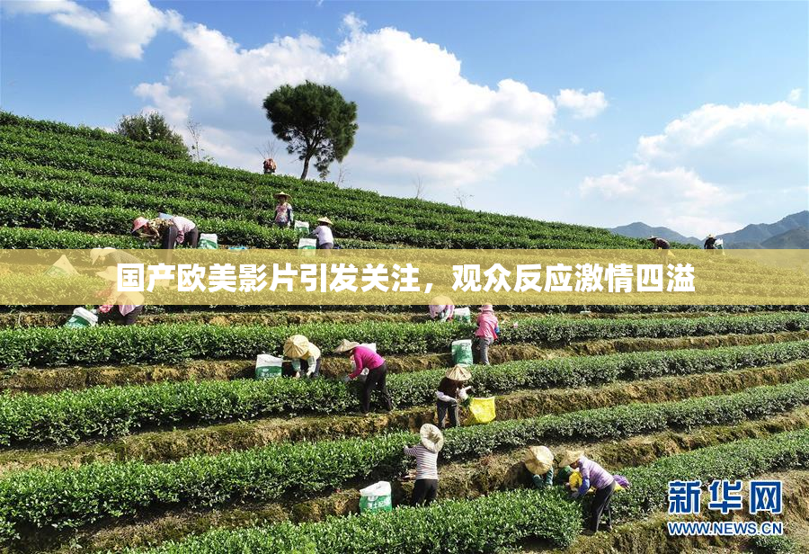 国产欧美影片引发关注，观众反应激情四溢