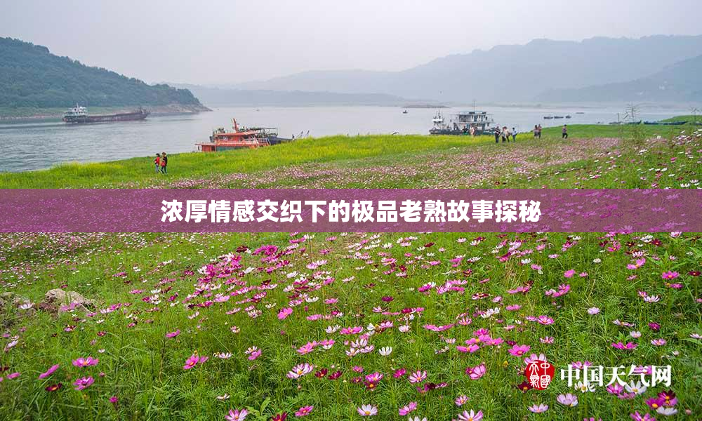 浓厚情感交织下的极品老熟故事探秘