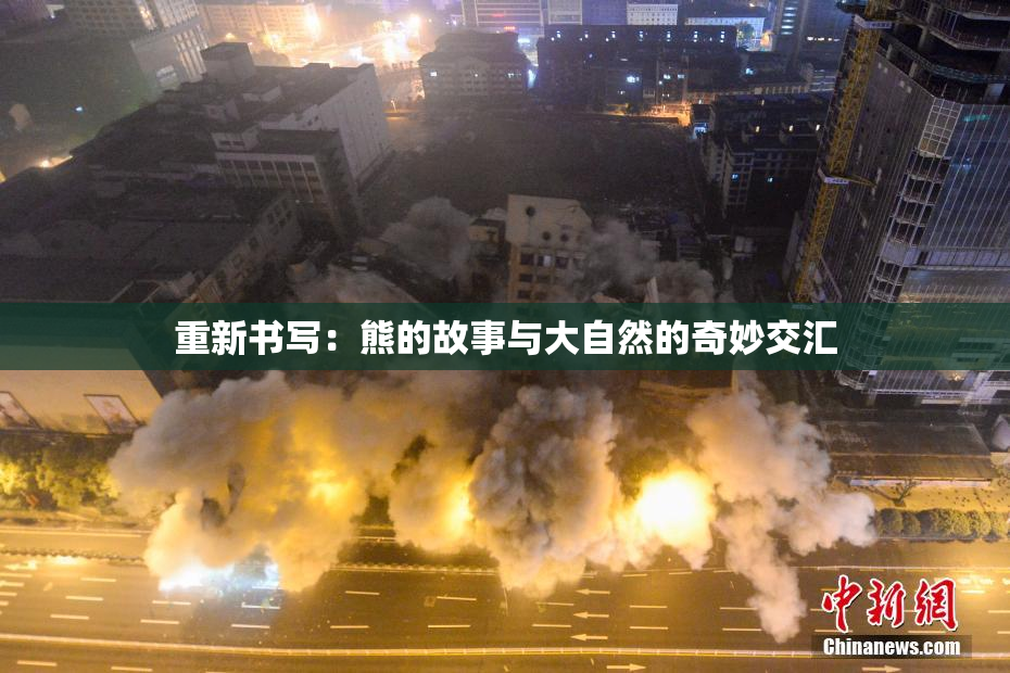 重新书写：熊的故事与大自然的奇妙交汇