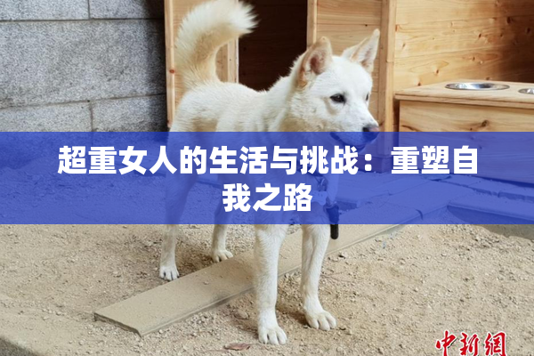超重女人的生活与挑战：重塑自我之路