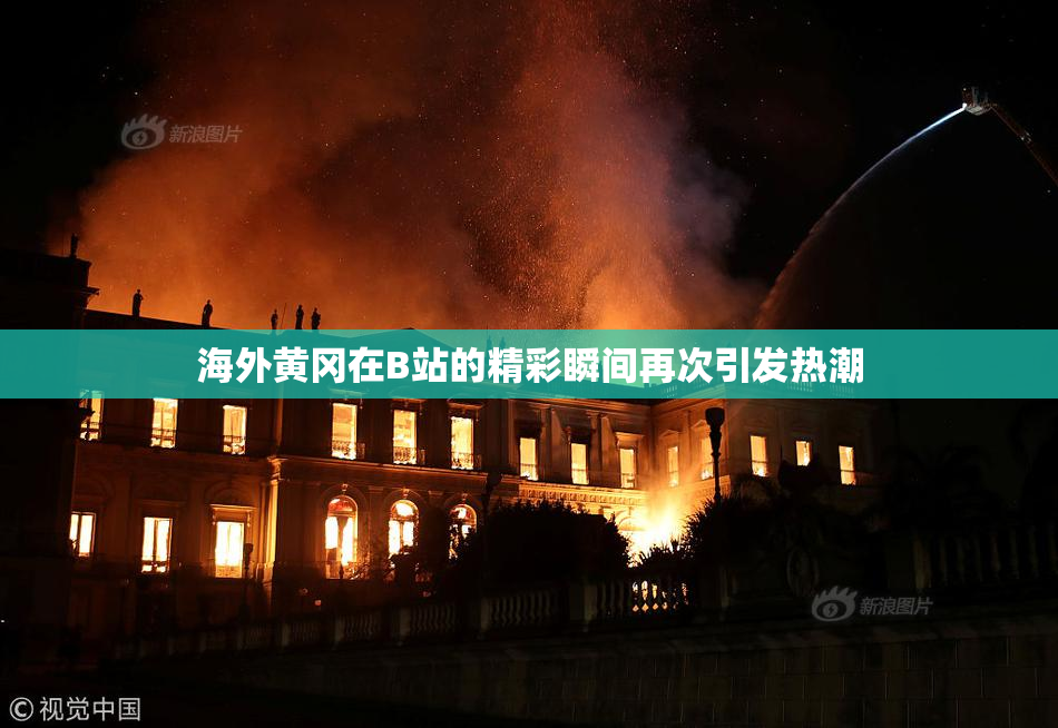 海外黄冈在B站的精彩瞬间再次引发热潮