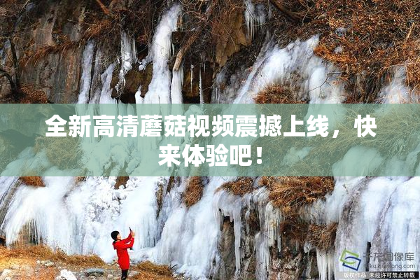 全新高清蘑菇视频震撼上线，快来体验吧！
