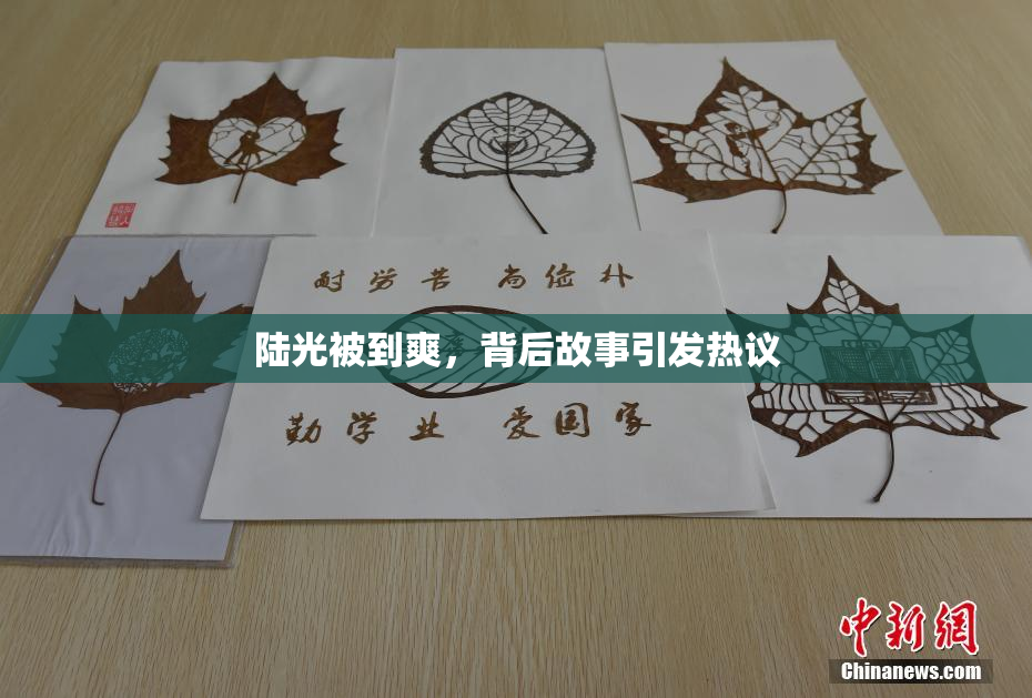 陆光被到爽，背后故事引发热议