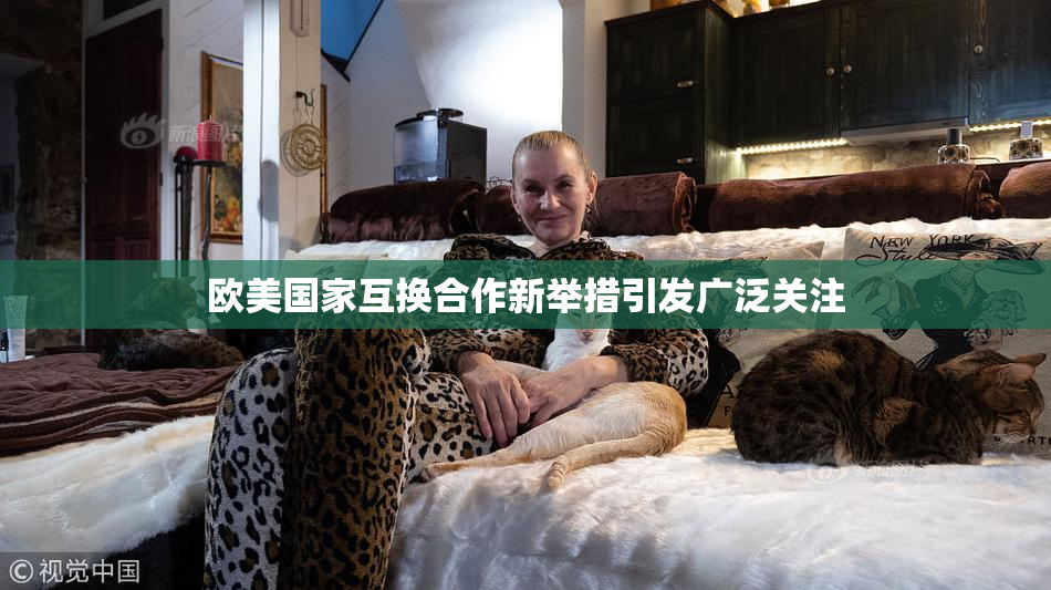 欧美国家互换合作新举措引发广泛关注