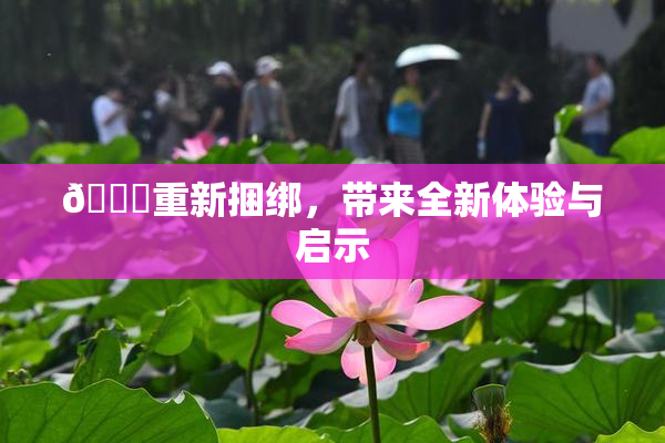 🔞重新捆绑，带来全新体验与启示